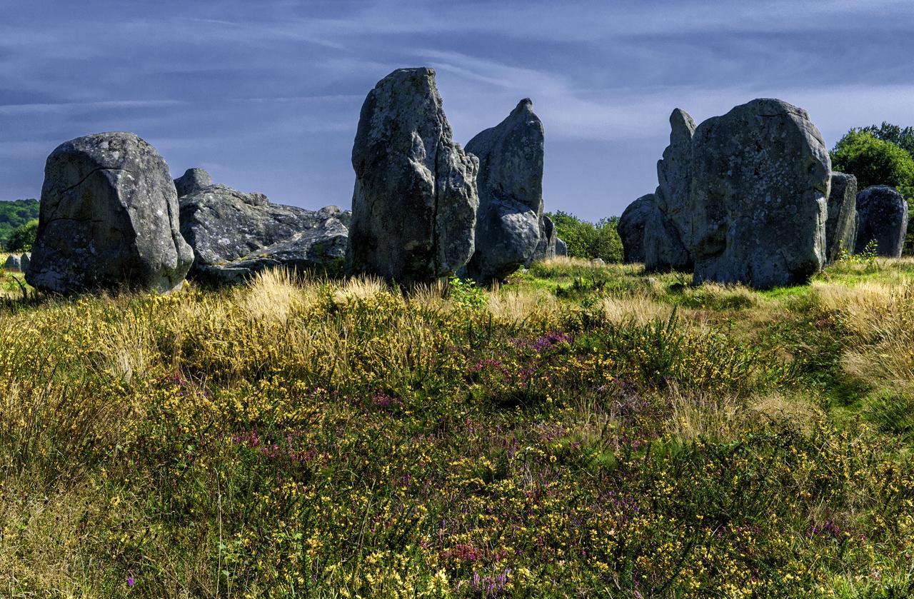 Résidence Goélia Bleue Océane Carnac Exterior foto